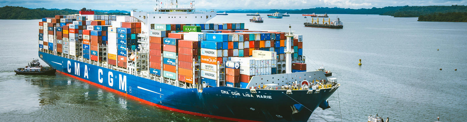 물류 효율 최적화